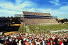 Picture: Mississippi State
