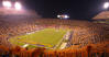 Picture: LSU